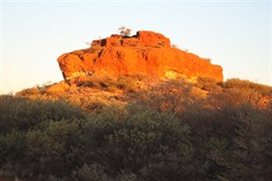 Nipper Pinnacle
