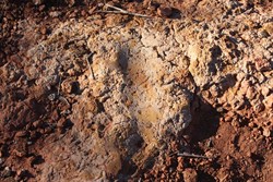 Groove near Rockhole