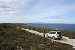 Memory Cove Rd