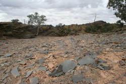 Slate tiles - Mt Chambers Gorge Tk