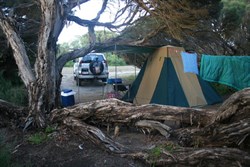 Coorong campsite