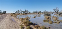 Floodwaters on the Edge of the Birdsville Track
