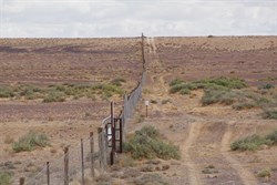 Looking West along the Dingo Fence