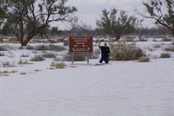 Greendog Showing how deep the water was at the Sign