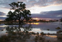 Reflections on the Cooper