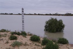 4 metres deep at the ferry site and expecting to rise another metre within the coming weeks