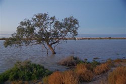 Late in the day at the ferry crossing from the northern side