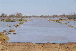 The flooded Birdsville track from the northern side of the Cooper