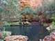 Circular Pool