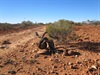 Canning 2010 - Wiluna to Granites (Well 2A)
