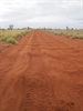 Corrugations near Kunawaritji