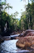 Finch Hatton Gorge