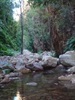 Track into El Questro Gorge