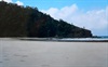 Cape Tribulation