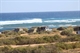 Gnaraloo campsite