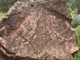 N'Dhala Gorge petroglyphs