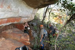 Searching for Bradshaws - Drysdale Escarpment