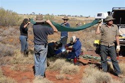 Desert repairs