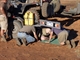 Trailer repairs - A great start to the morning!