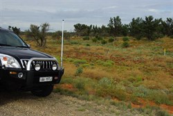 Our first sightings south of Roxby Downs