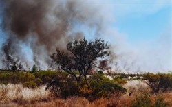 fires along the Tanami Track