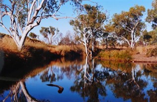 An attractive spot for a camp