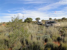 The vehicles mvoing through the rough stuff to the north east