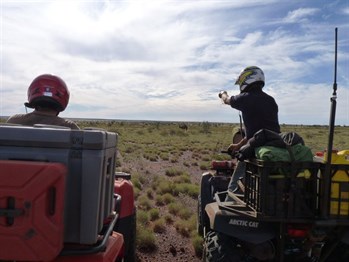 Meanwhile back on the quads.....