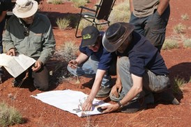 Loading up co-ordinates for the Deep sites