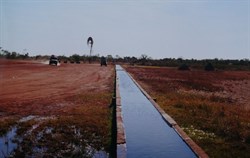 Myall Bore cattle trough