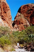 On the track to Echidna Chasm