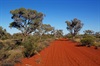 Anne Beadell Highway