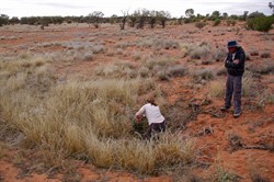 Native Well on the Anne Beadell