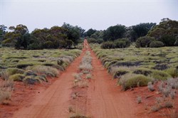 Heading towards Voakes Hill