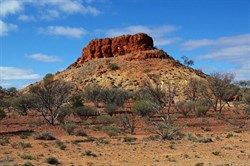 Bishop Rileys Pulpit