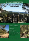 5 Great Forest Drives