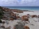 Dolphin Bay - Innes NP