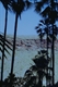 Among the palms on Joes Creek Walk