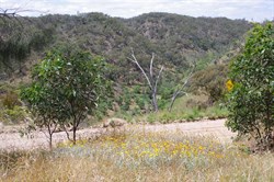 Those hills were very steep when Exploring