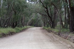 One of the Roads that will take you to Spring Gully