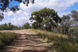Large cleared area to park your vehicle