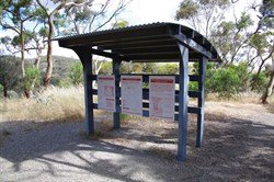 Blue Gum Lookout