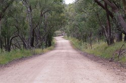 Another Road to Spring Gully