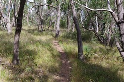 Cascades Walk
