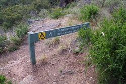 Take note of this sign if wet, people have fallen in the past