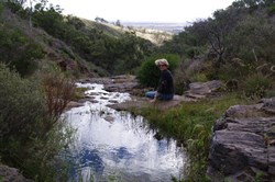 On top of the Spring Gully Waterfall