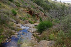 A wet winter made sure that there was still water at the end of November