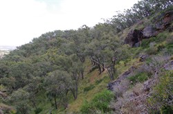 Steep sided gullies