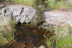 Small rock pool at the top of the falls