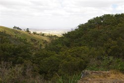 These are the Hills we explored as kids